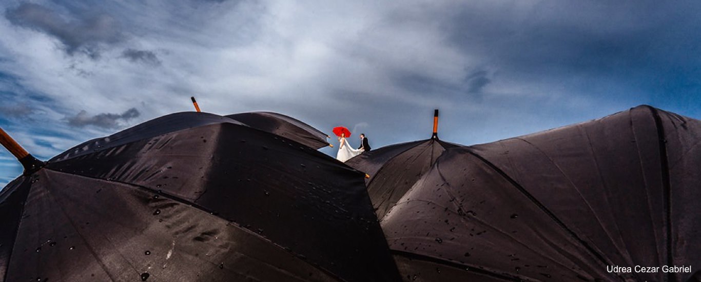 Best wedding photographers in the world - by city, with testimonials from past clients